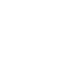 chip